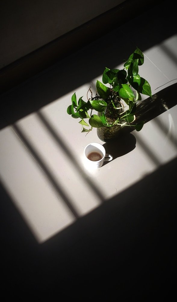 QUARANTINE DAYS OF COVID-19