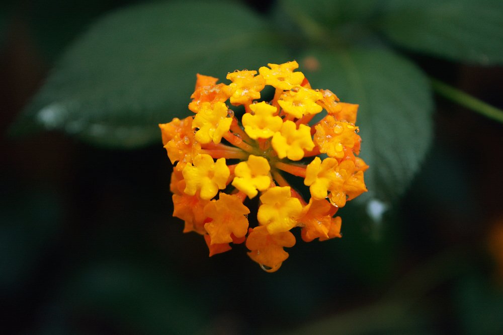 Photograph by berhane habtemariam