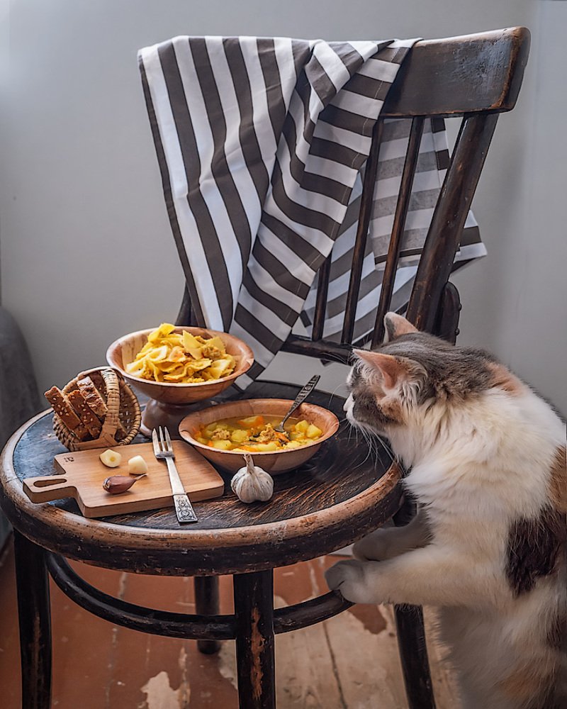 Санконтроль с пушистым хвостом