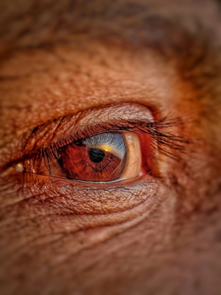 Photograph by vivek kakadiya