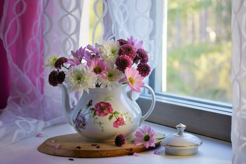 Photograph by Елена Шмарловская