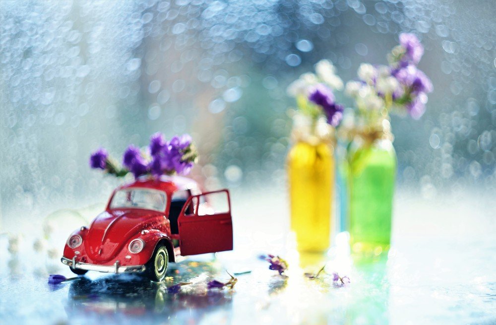 Photograph by Елена Шмарловская