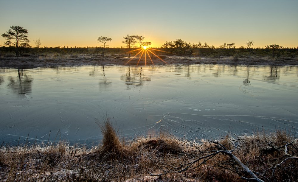 Sunrise in the bog