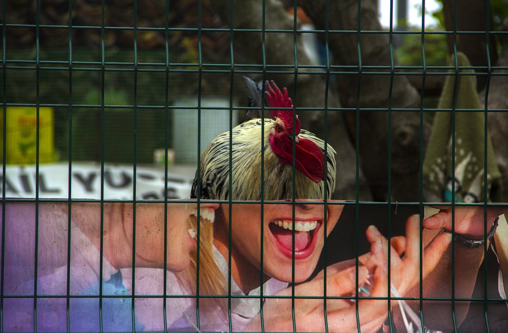 Dreams and realities