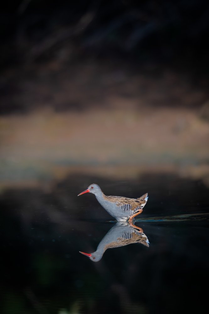 Photograph by Nuno Alexandre Candido