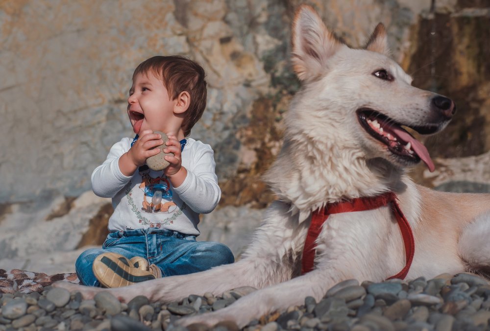 Мальчик и собака