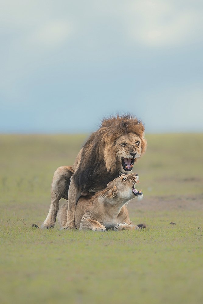 Unconditional Love!!!