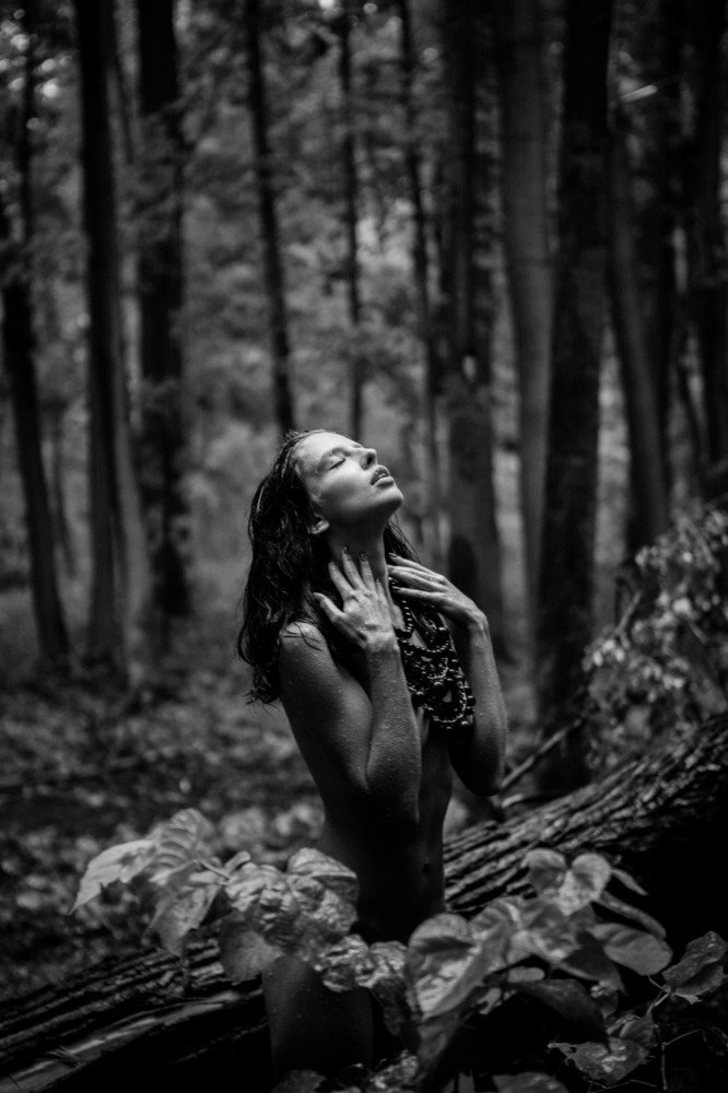 Photograph by Александр Прищепов