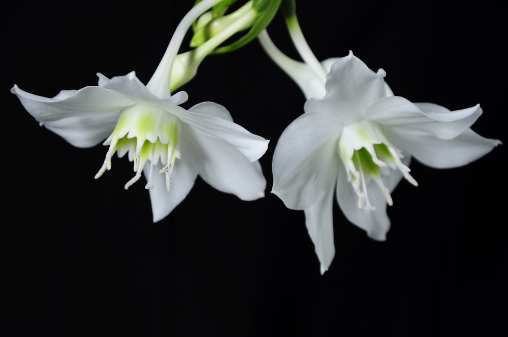 Photograph by Татьяна Маринич