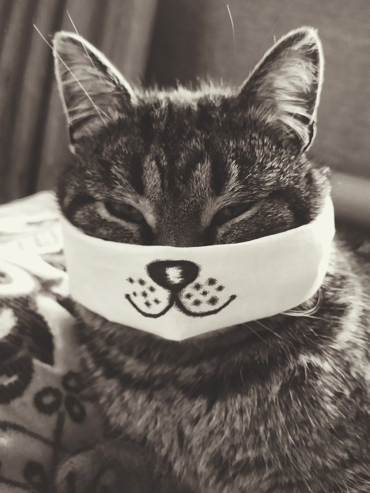 Photograph by Наталья Егорова