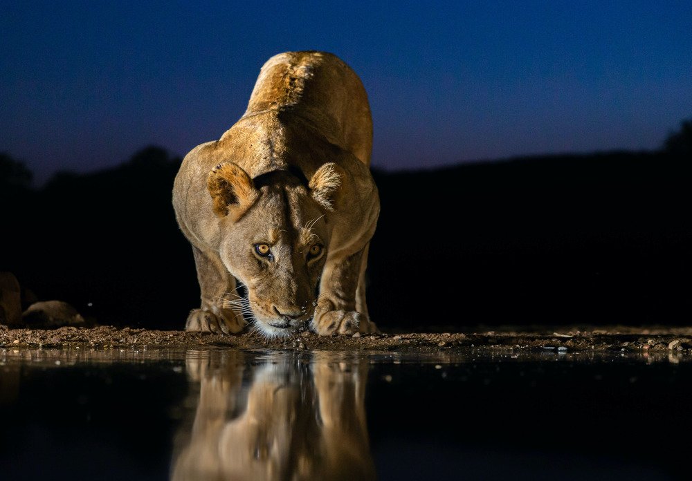 Photograph by Limor Bahar