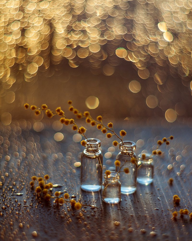 Photograph by Лилия Павлова