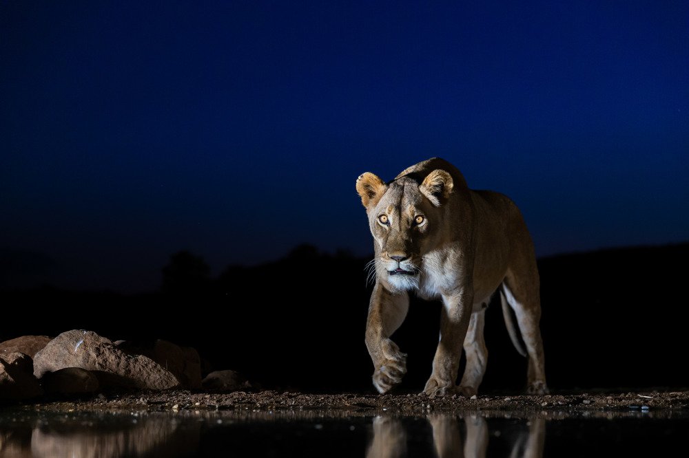 Photograph by Limor Bahar