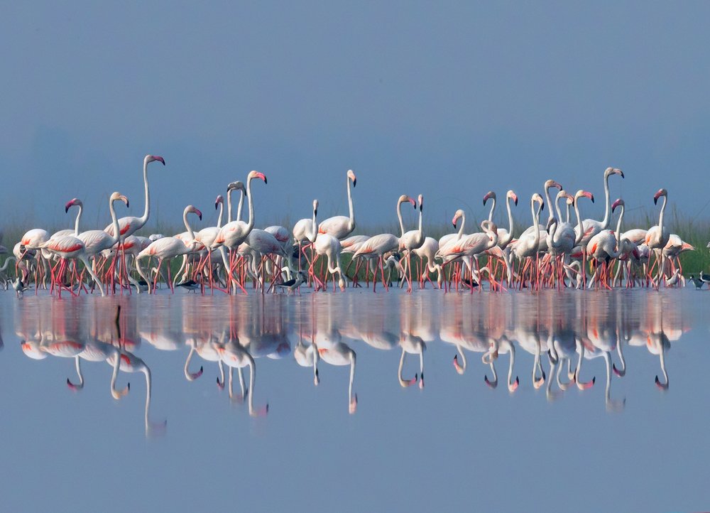 Photograph by Bibhas Deb