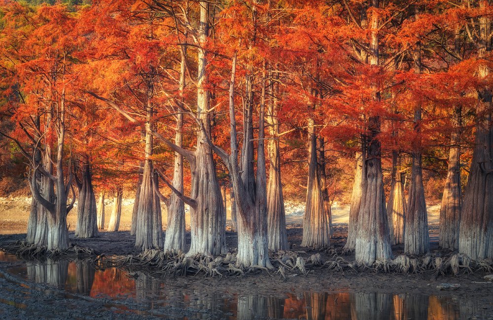 Photograph by Александр Хорошилов