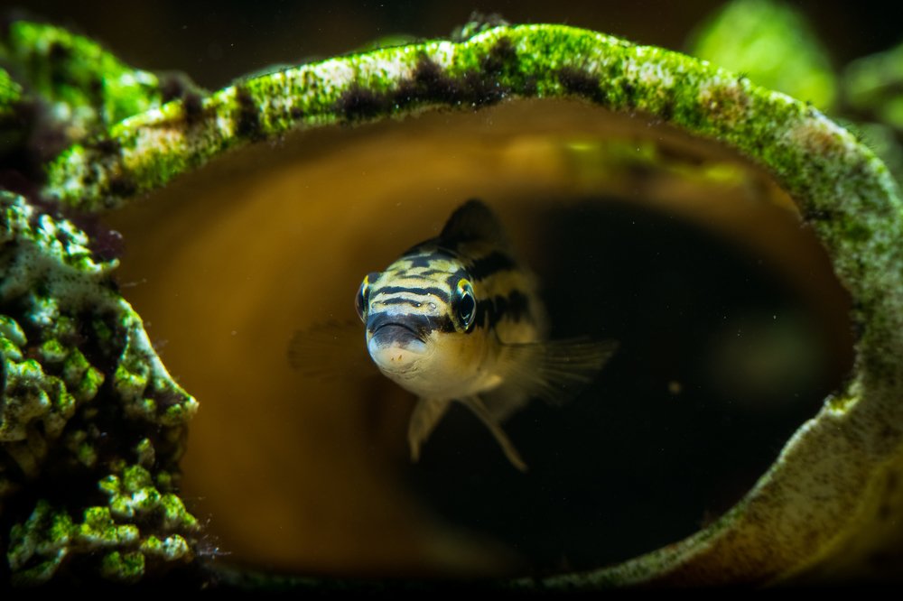 Photograph by Ясинский Юрий