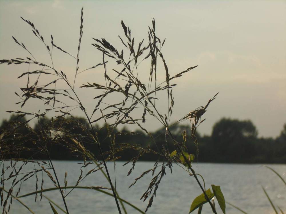 Photograph by Ксения Туваева