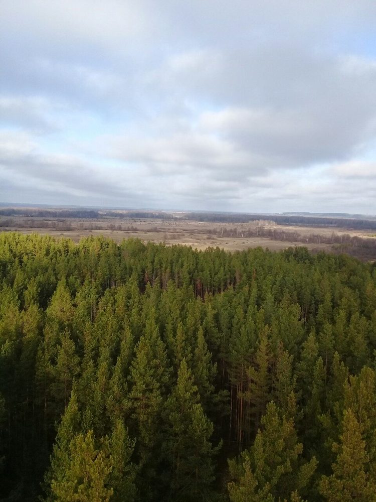 Photograph by Ксения Туваева