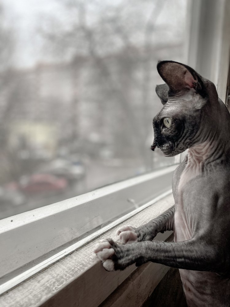 Photograph by Дмитрий Забуга