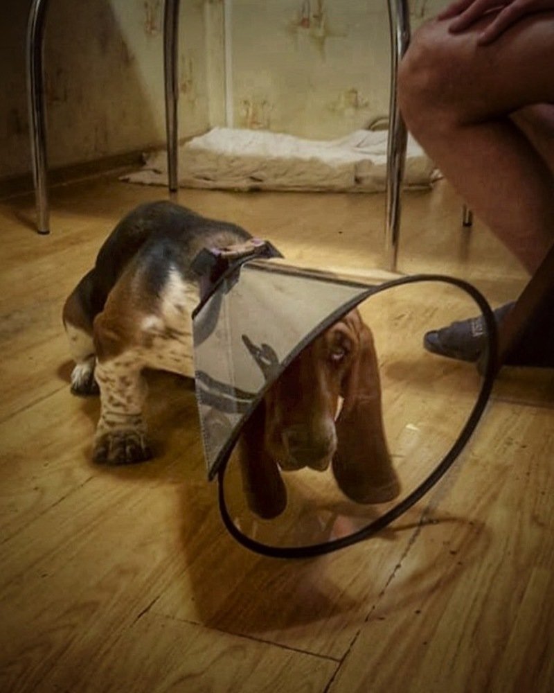 Photograph by Ирина Семячкова