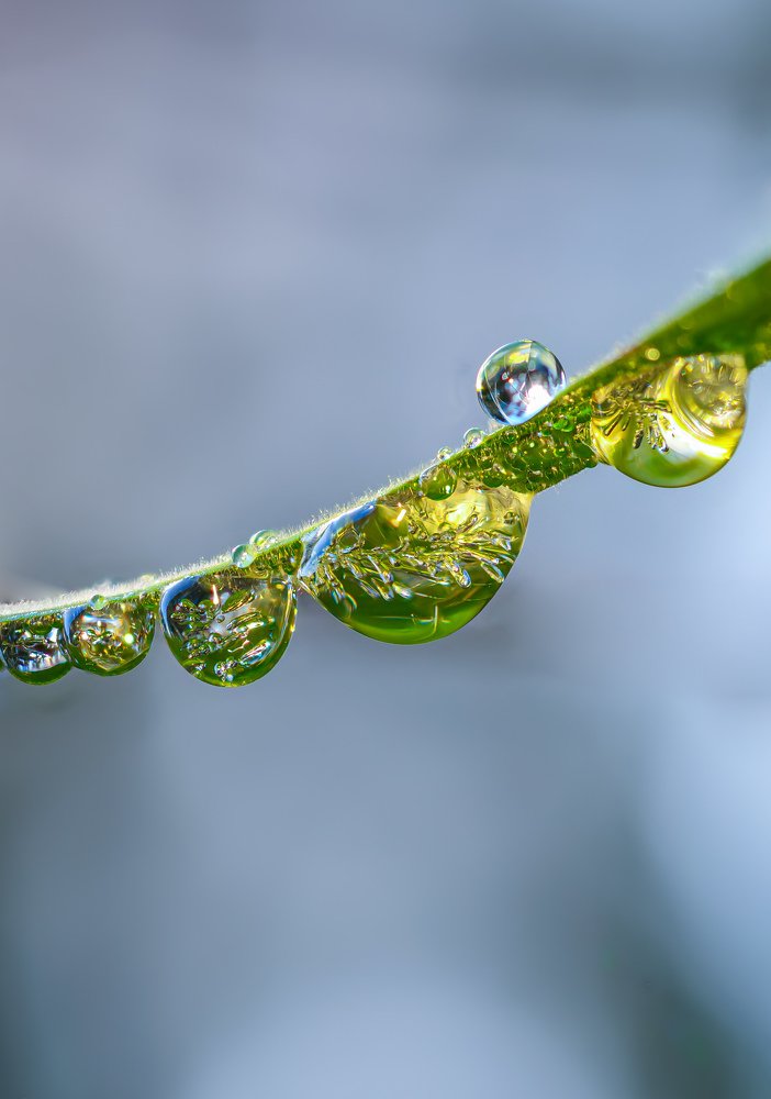Macro drops