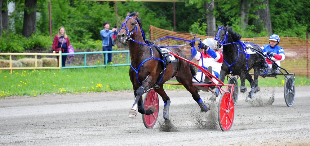 Финишная прямая