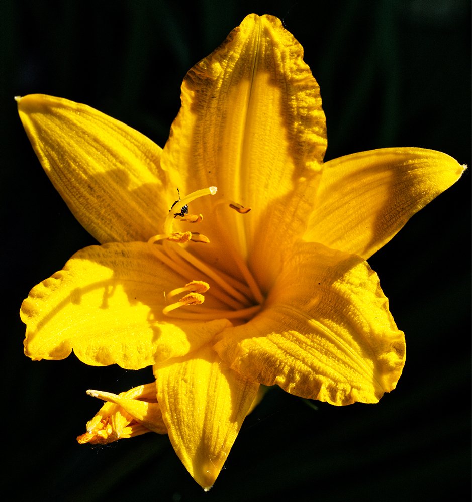 Photograph by Павел Кулинич