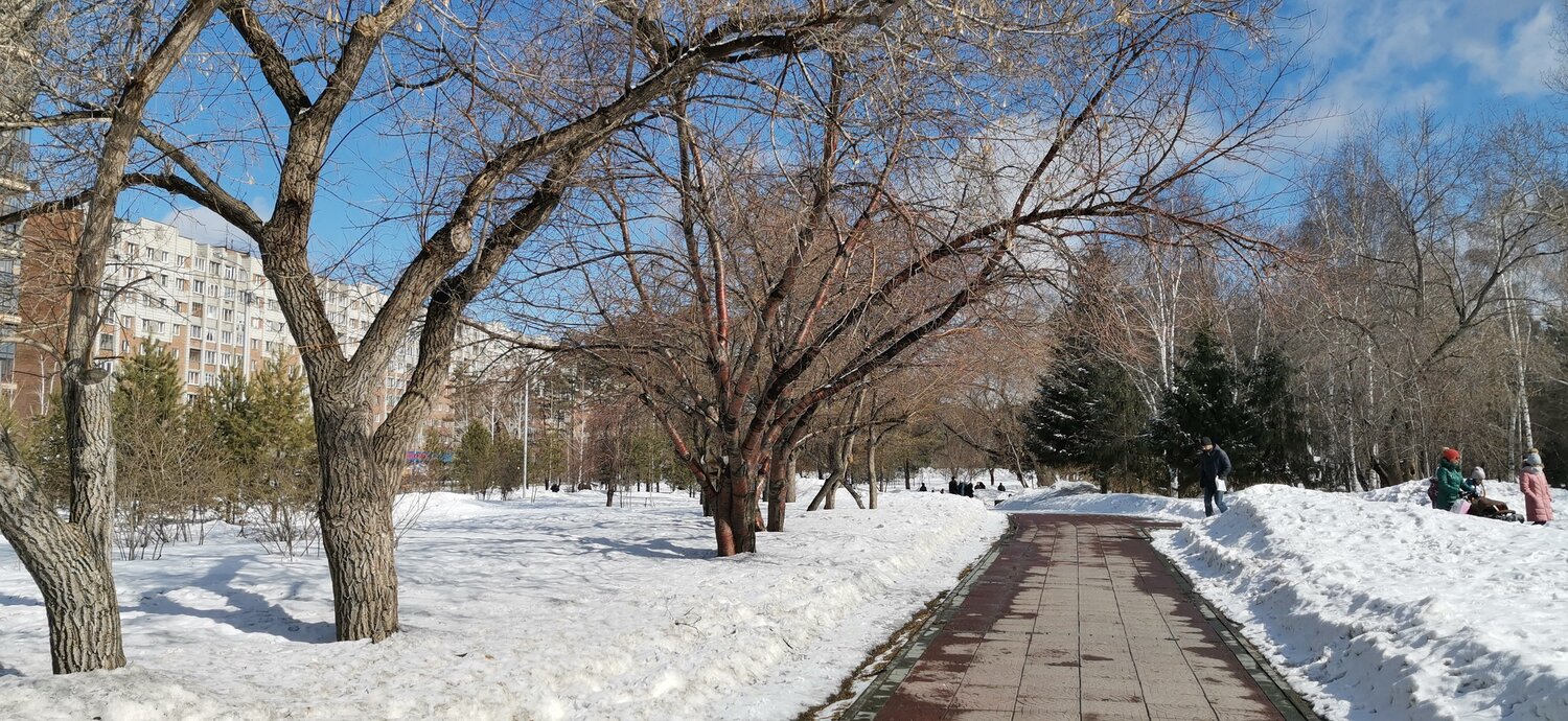 Photo #4502271