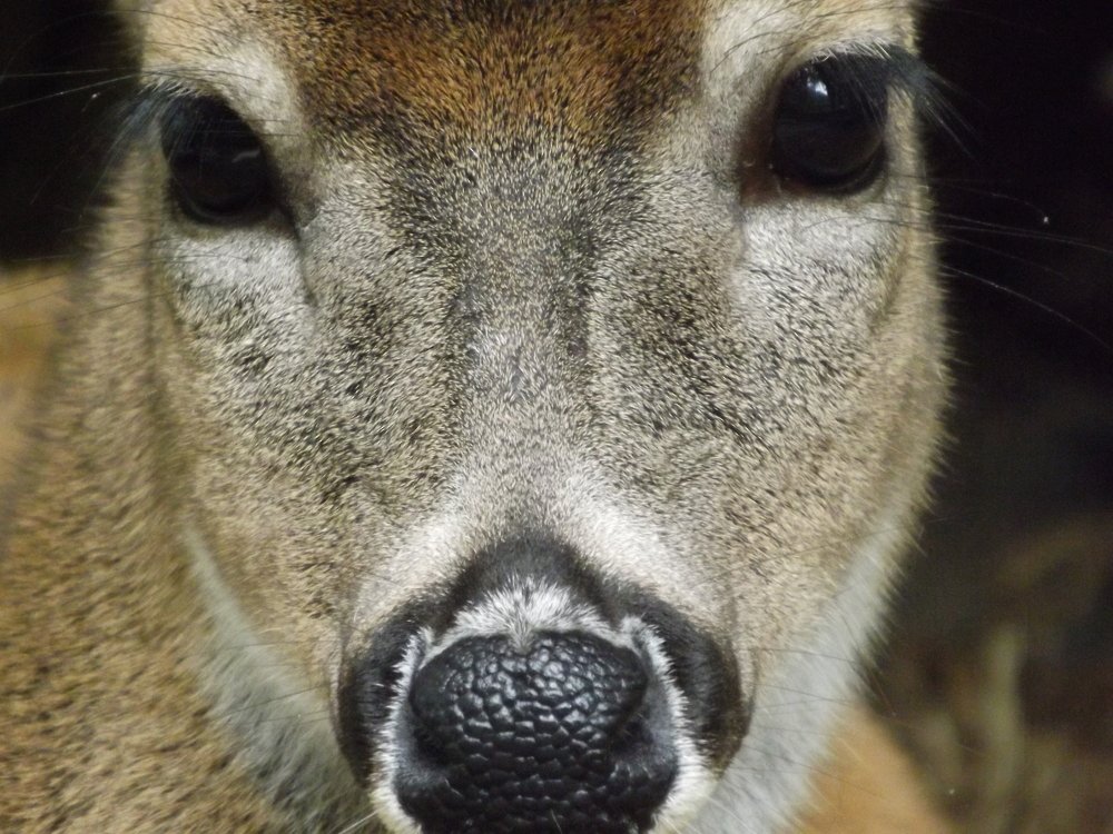 Photograph by CESAR IZARRA