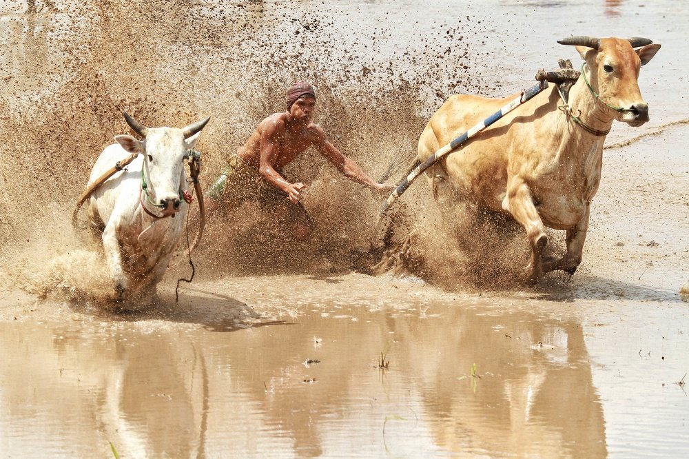 Photograph by weldi musni