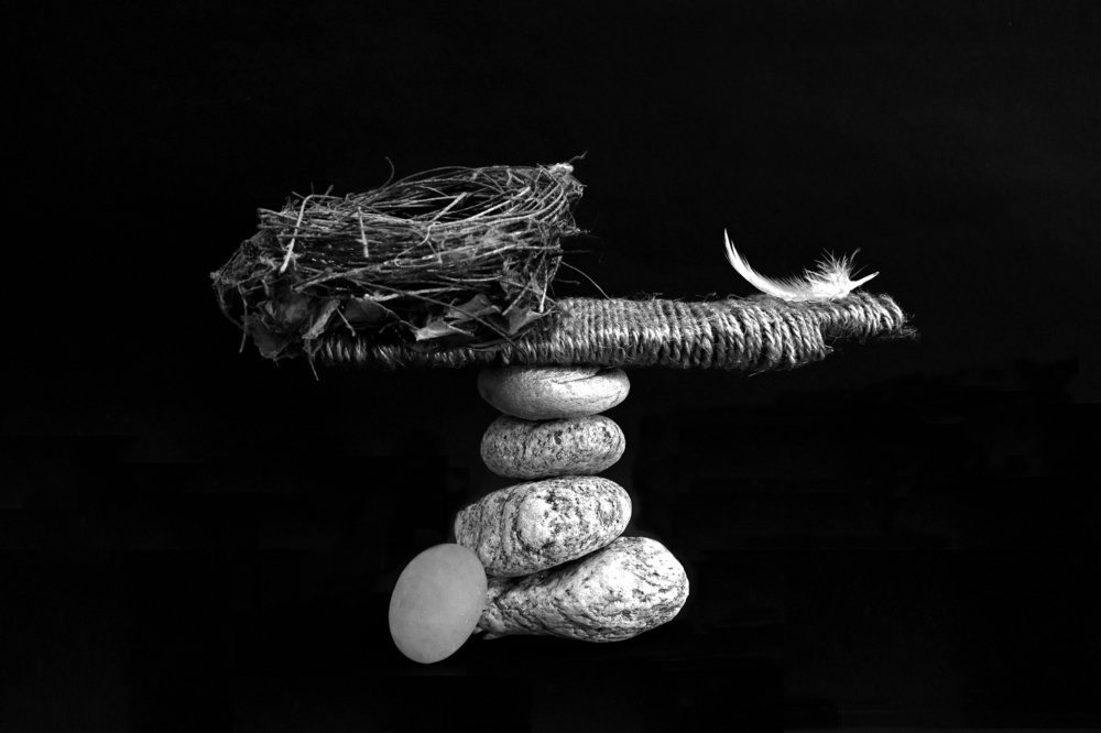 Фотография автора Sadiqur Rahman