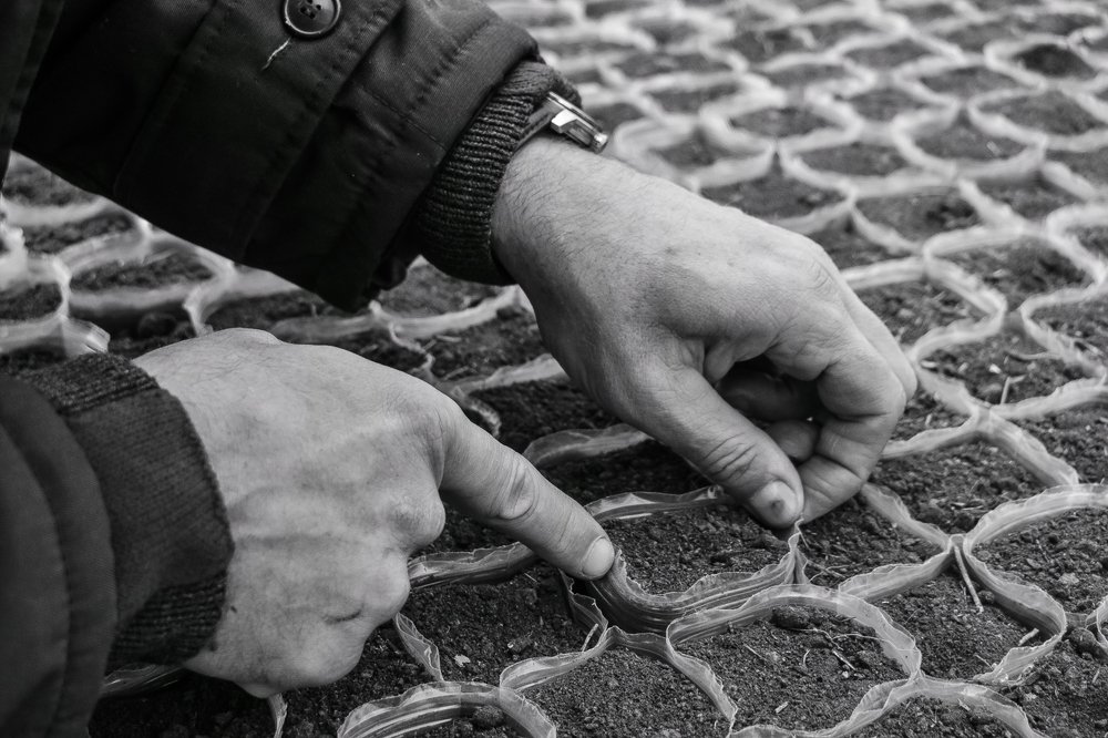 Что посеешь, то и пожнешь