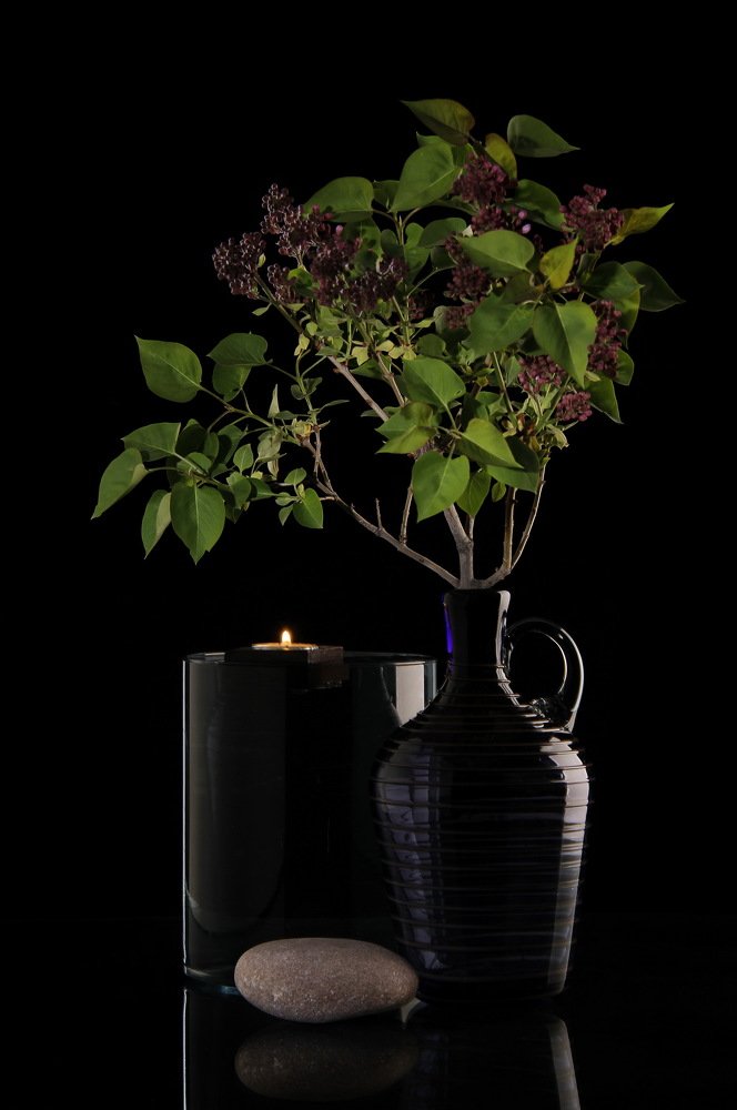 Photograph by Mahdi Mojaver