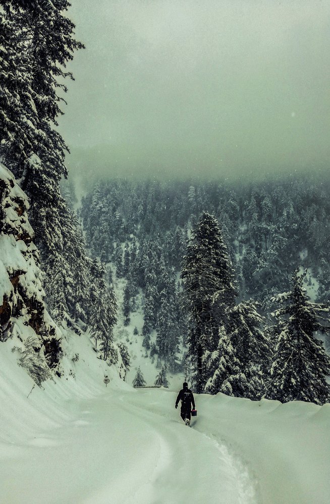 Photograph by Zaib Shaikh