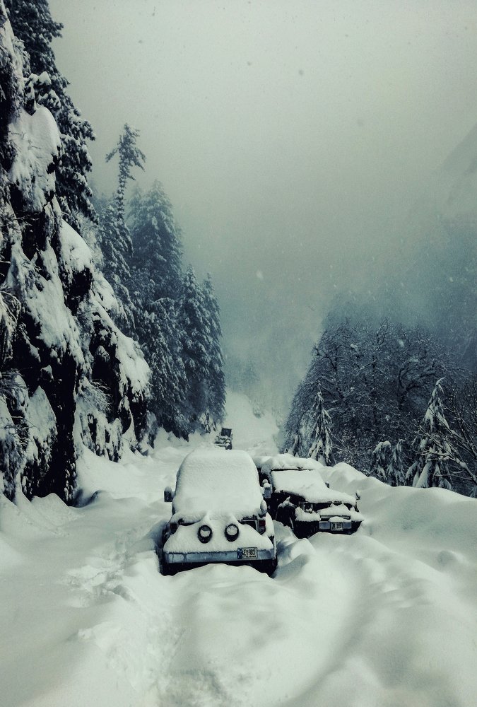 Photograph by Zaib Shaikh