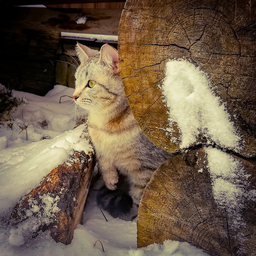 Photograph by Евгений Калагаев