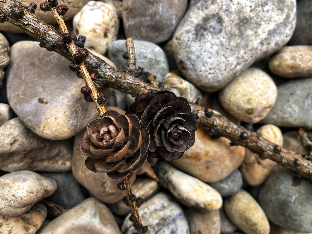 Photograph by Лада Сартакова