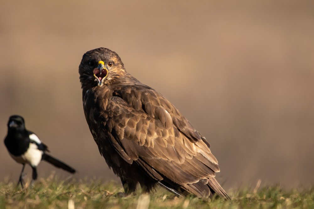 Photograph by Nikolay Stoyanov