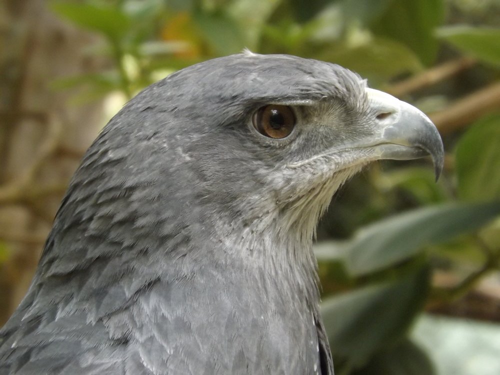 Photograph by CESAR IZARRA