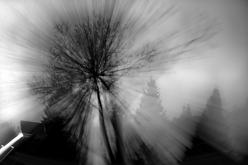 Photograph by Agnieszka Szadowiak