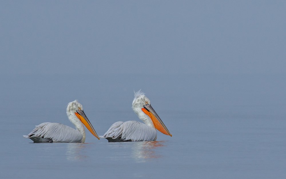 Photograph by Bhavesh Rathod