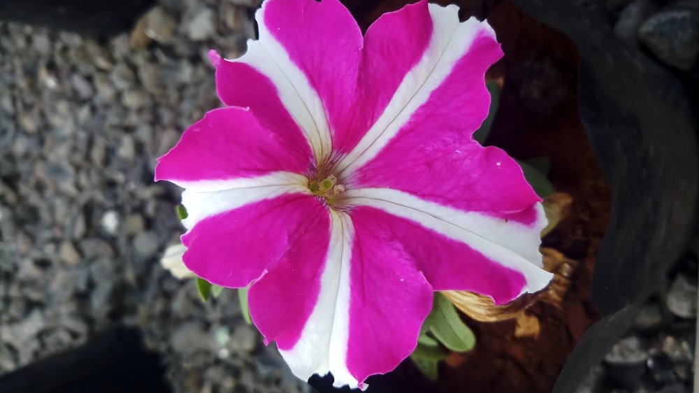 Photograph by Ambewadikar sourabh