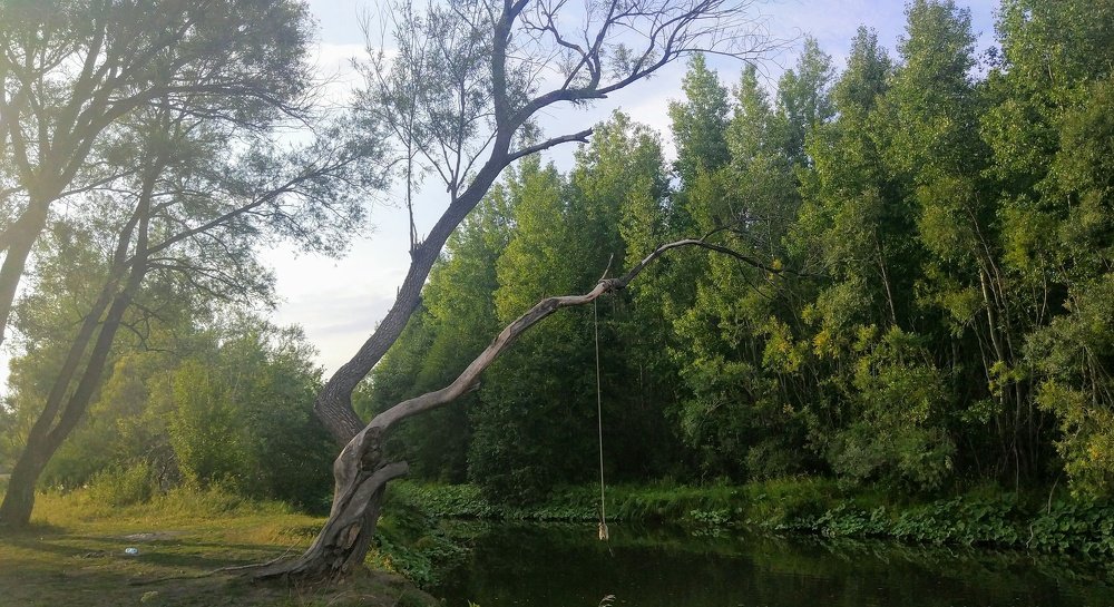 Речка из моего детства