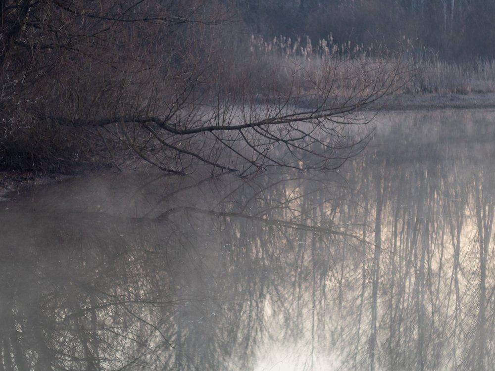 Photograph by Александр Устинов