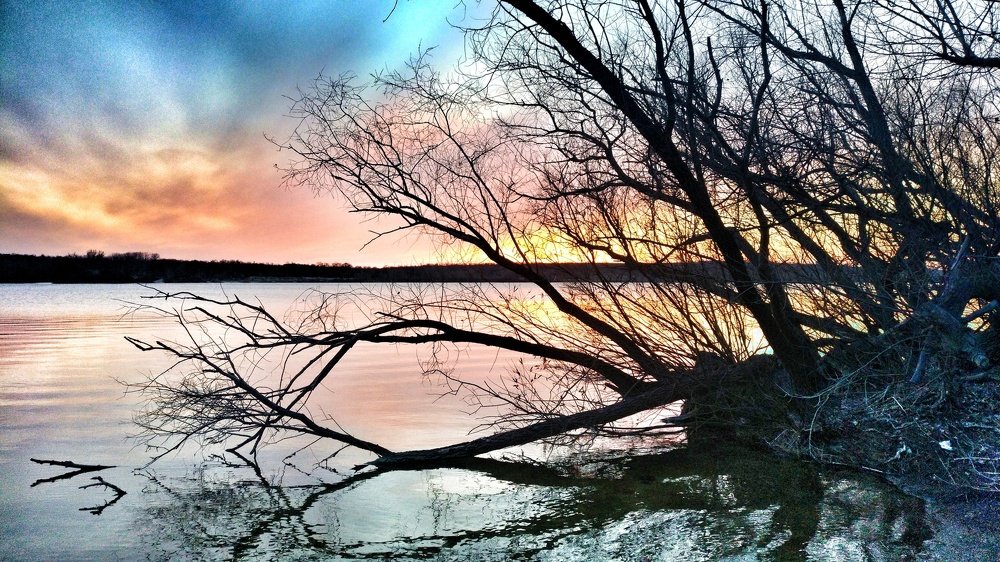 Photo #4503010