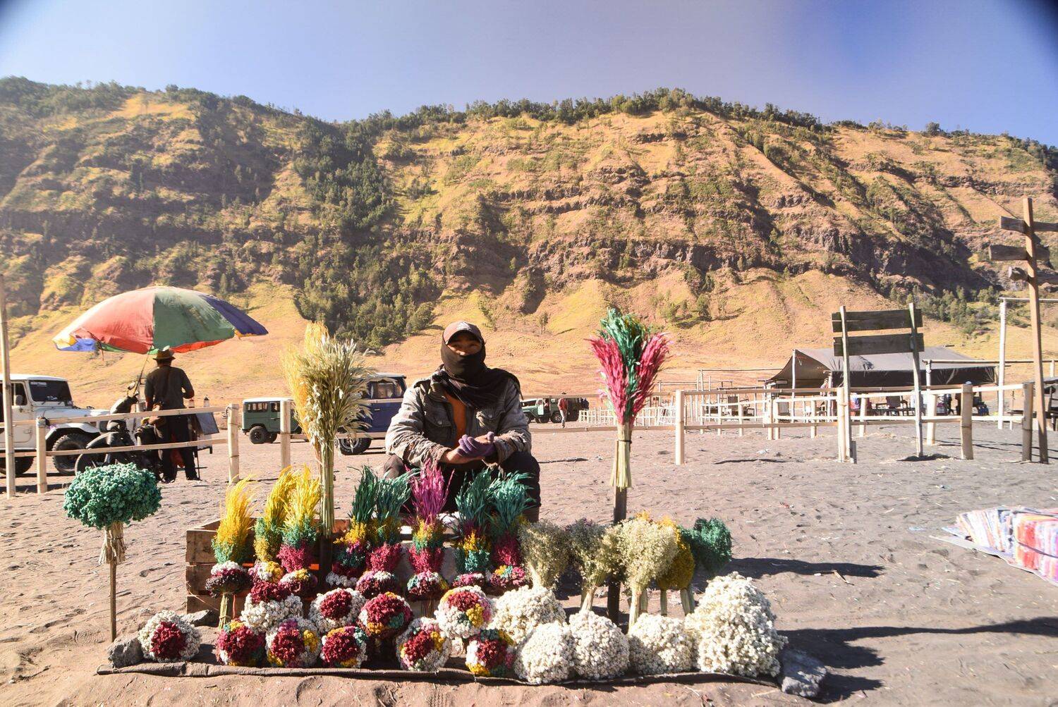 A man with his flowers at Mount of Bromo, East Jawa, Indonesia..