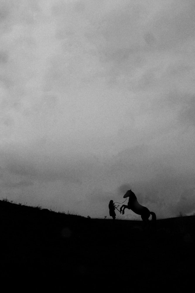 Photograph by Abbas Mohamadi