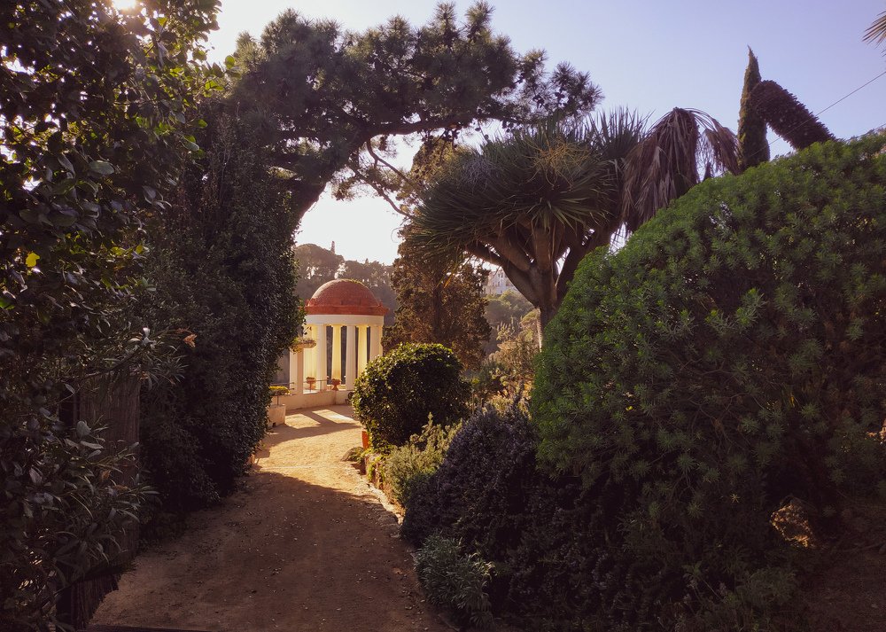 Photograph by Виталий Татаринов