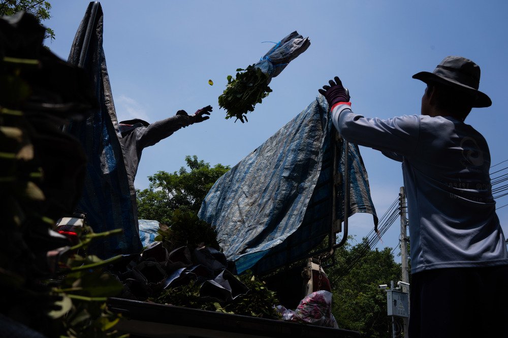 Photograph by Krittipong Thitithanakul