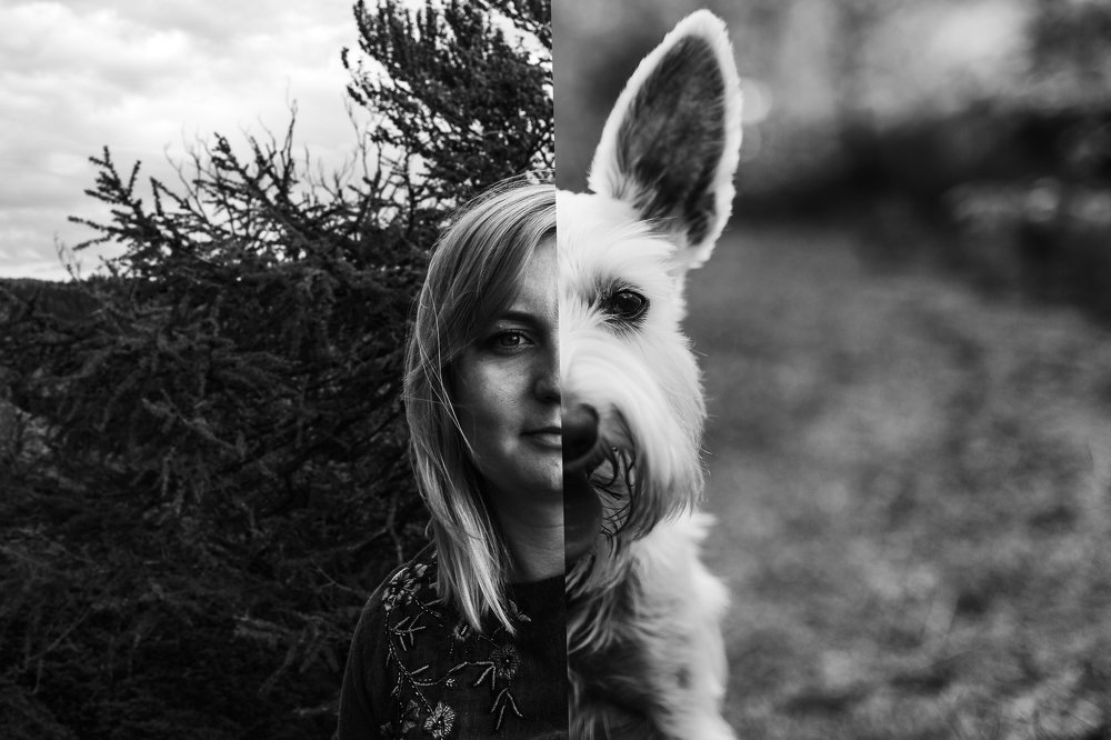 Фотография автора Michal Gałczyński